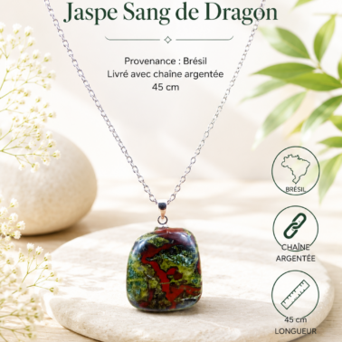 Collier en Jaspe Sang de Dragon roulé avec chaîne argentée – Qualité A+